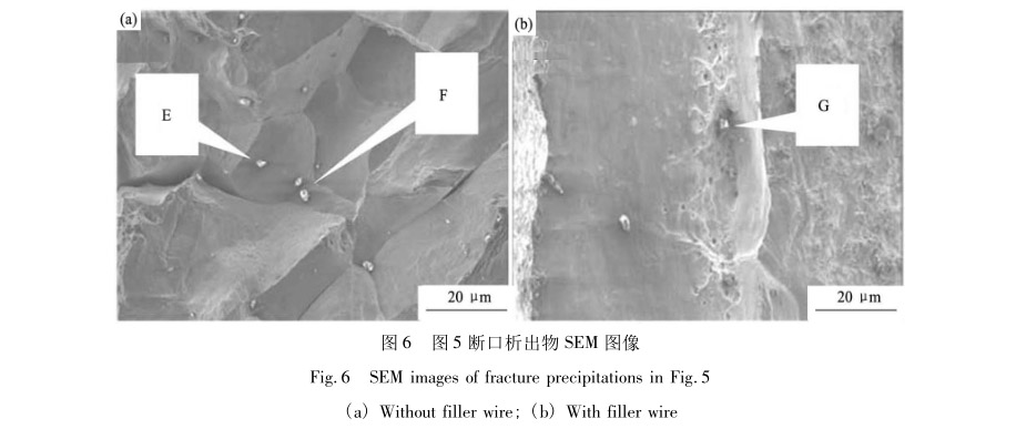 斷口析出物SEM圖像 斷口析出物SEM圖像