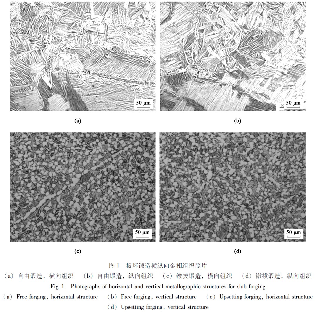 1671632247930506.jpg t1.jpg