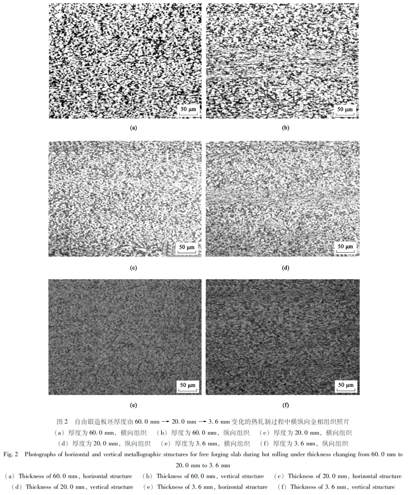 1672134744361164.jpg t2.jpg