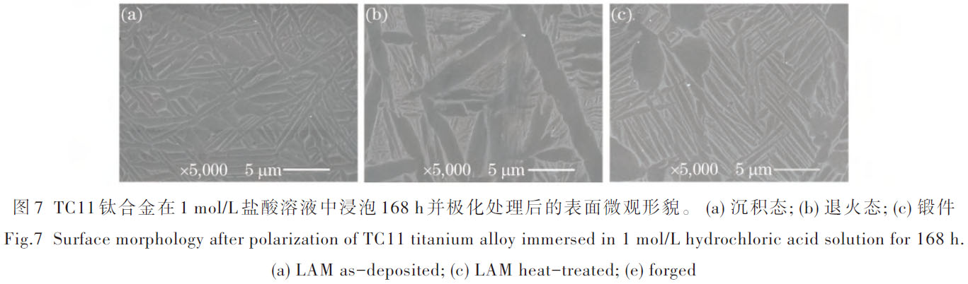 1672489596709114.jpg t7.jpg