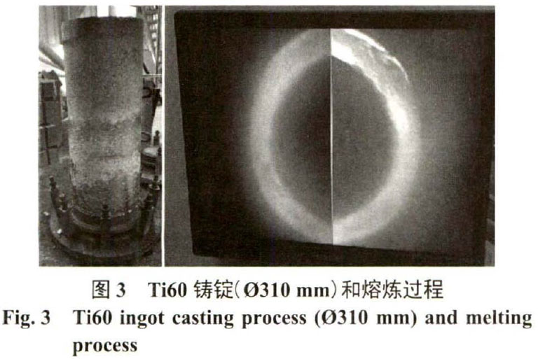 1677330269876501.jpg t3.jpg