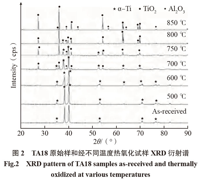 1681544908607461.jpg t2.jpg