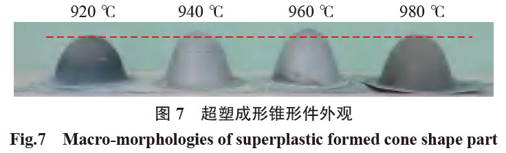 1681616052664466.jpg t7.jpg