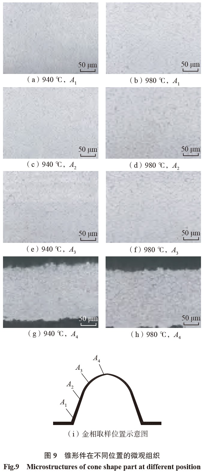 1683450823259932.jpg t9.jpg