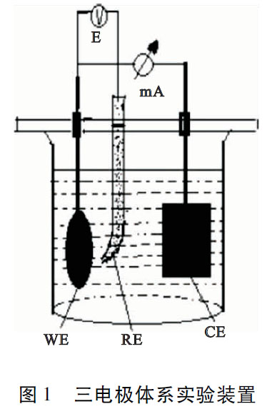 1685415574413605.jpg t1.jpg