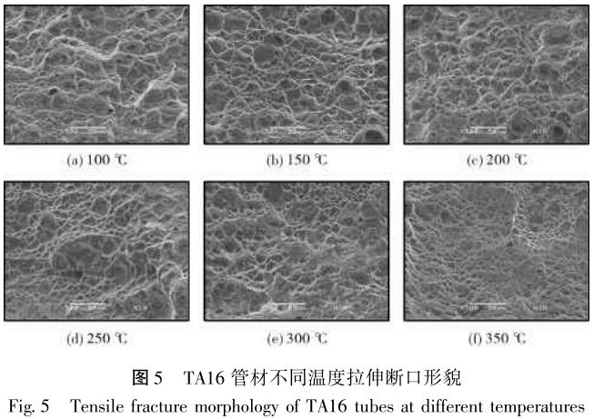 1686278091591166.jpg t5.jpg