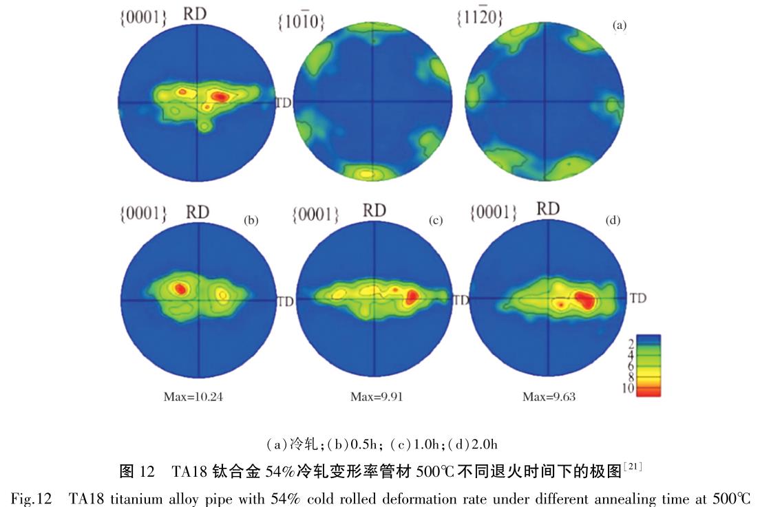 1686737433102463.jpg t12.jpg