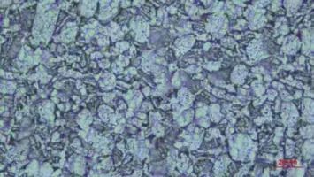 1691499478961069.jpg 9.jpg