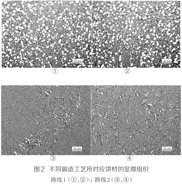 1694570129384520.jpg t2.jpg