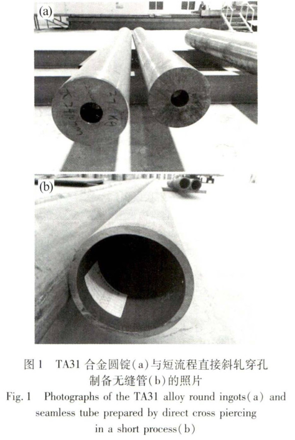 1695806504712826.jpg t1.jpg