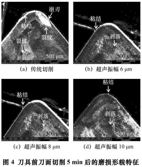 1700644229614720.jpg t4.jpg