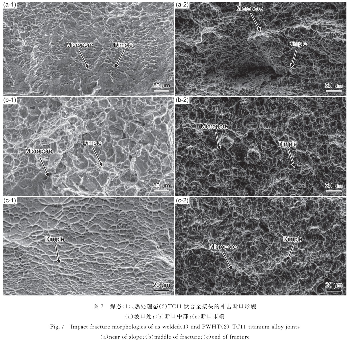 1700650344585197.jpg t7.jpg