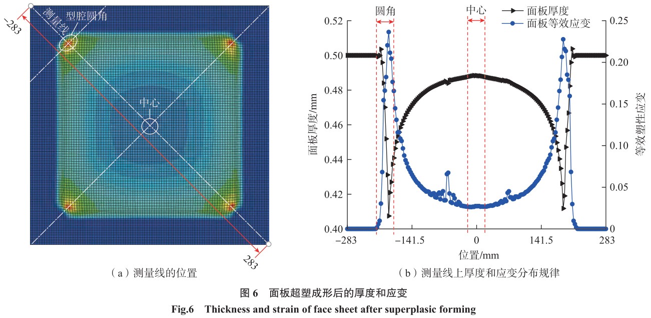 1702020194903304.jpg t6.jpg