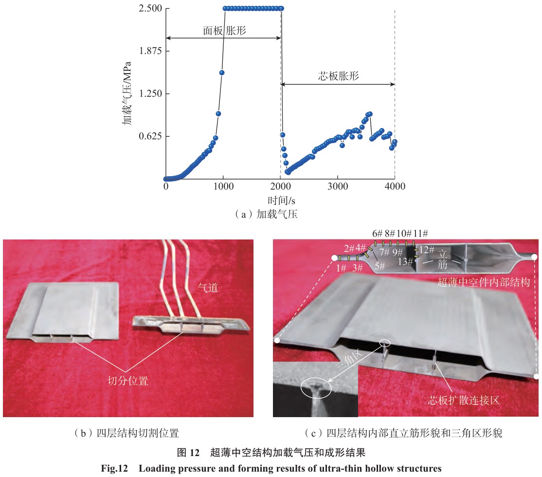 1702020255817568.jpg t12.jpg