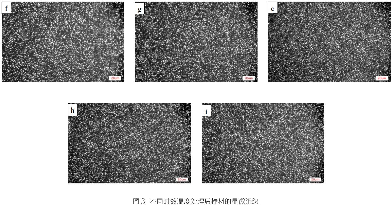 1700831208630997.jpg t3.jpg