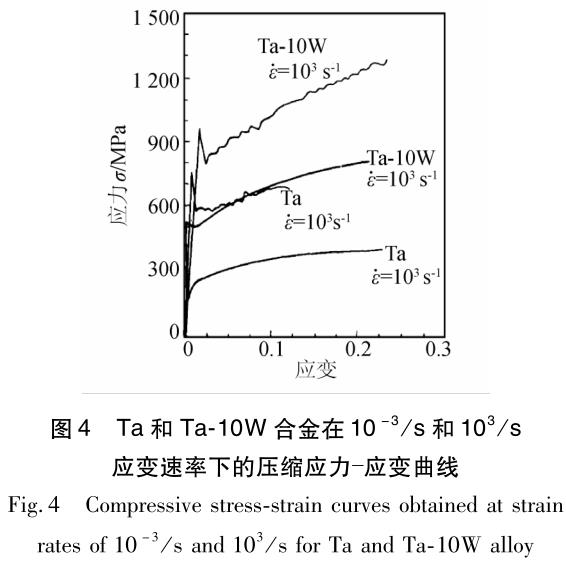 1704716219921409.jpg t4.jpg