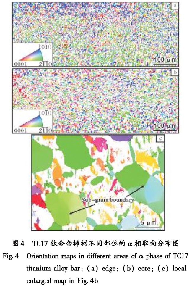 1704769365173892.jpg t4.jpg