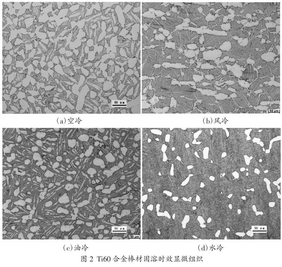 1708007693108877.jpg t2.jpg