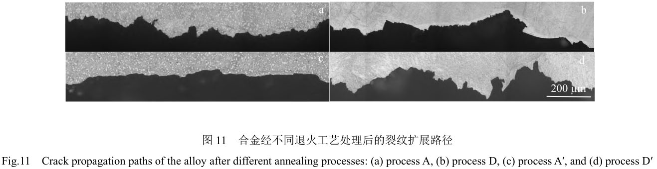 1708444206394554.jpg t11.jpg