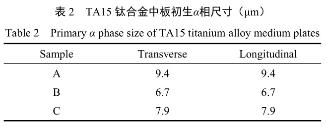 1709631355379372.jpg b2.jpg