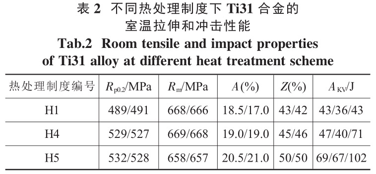 1712459807281485.jpg b2.jpg