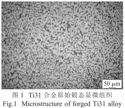 1712459816964056.jpg 11.jpg