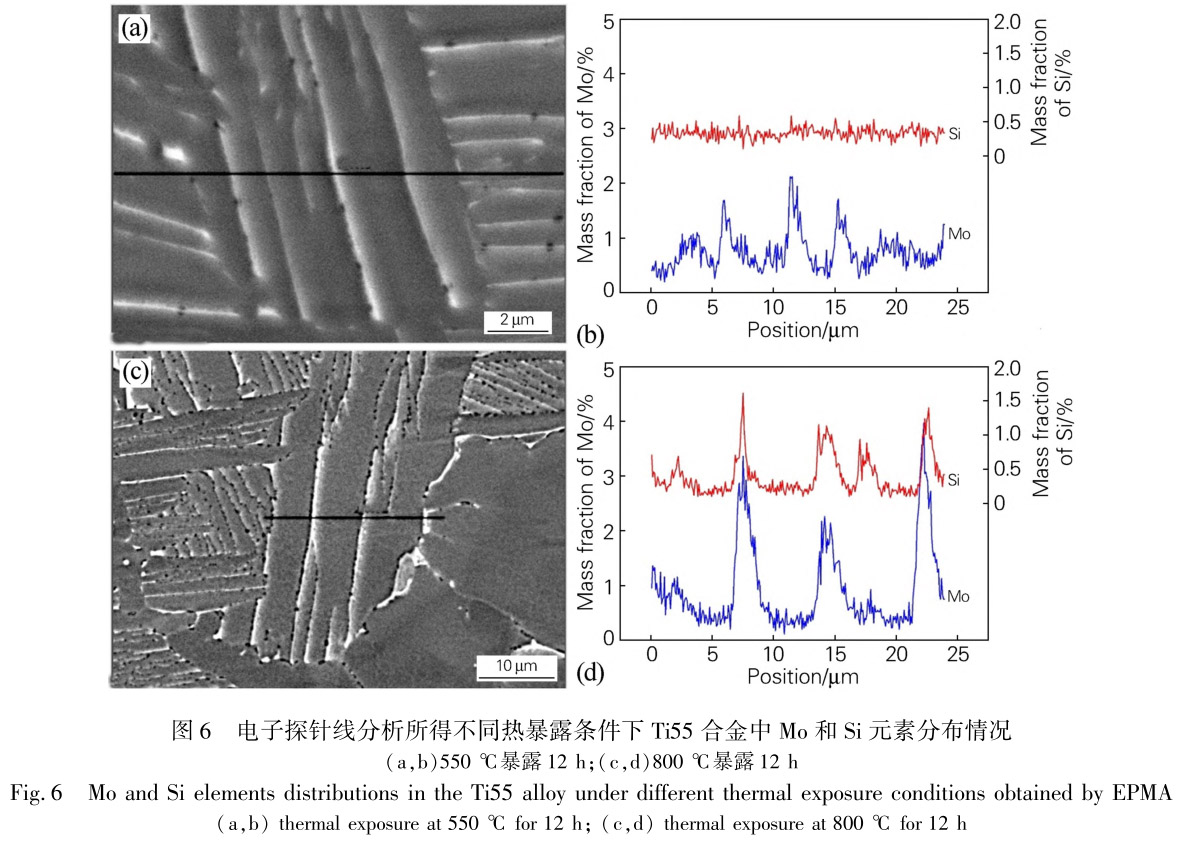 1713441120480866.jpg 未標題-6.jpg