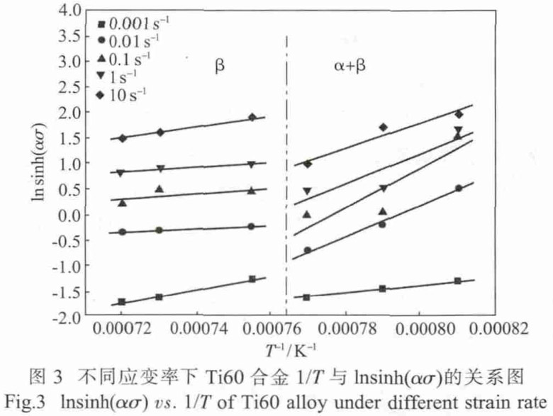 1713495471225770.jpg t3.jpg