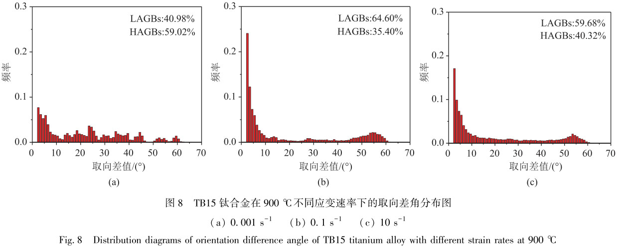 1718028454623149.jpg t8.jpg