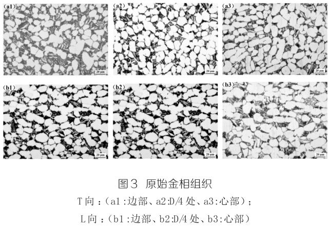 1720342397848108.jpg 360截圖16571223281246.jpg