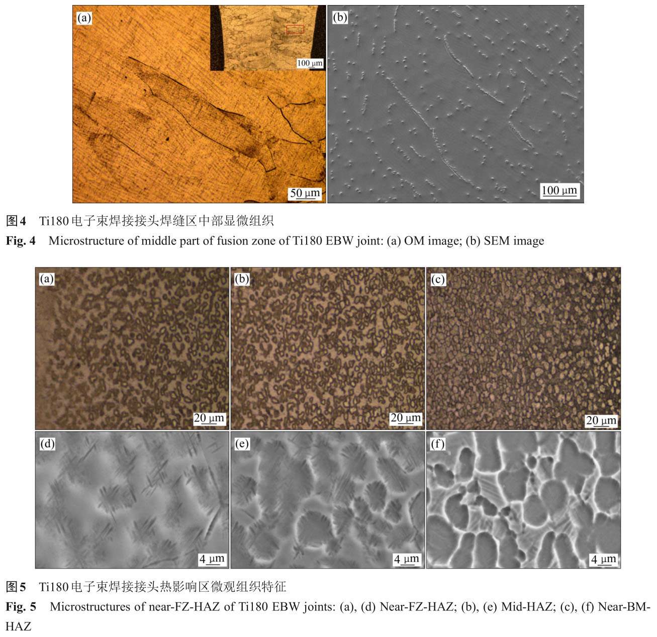 1723728894492393.jpg t4-5.jpg