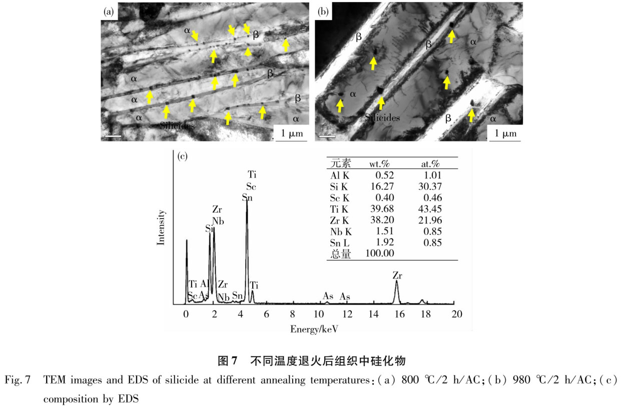 1723799260146008.jpg t7.jpg