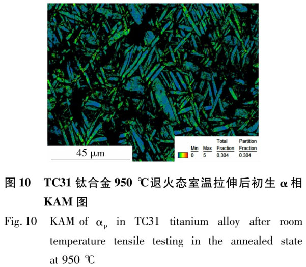 1723799299123288.jpg t10.jpg