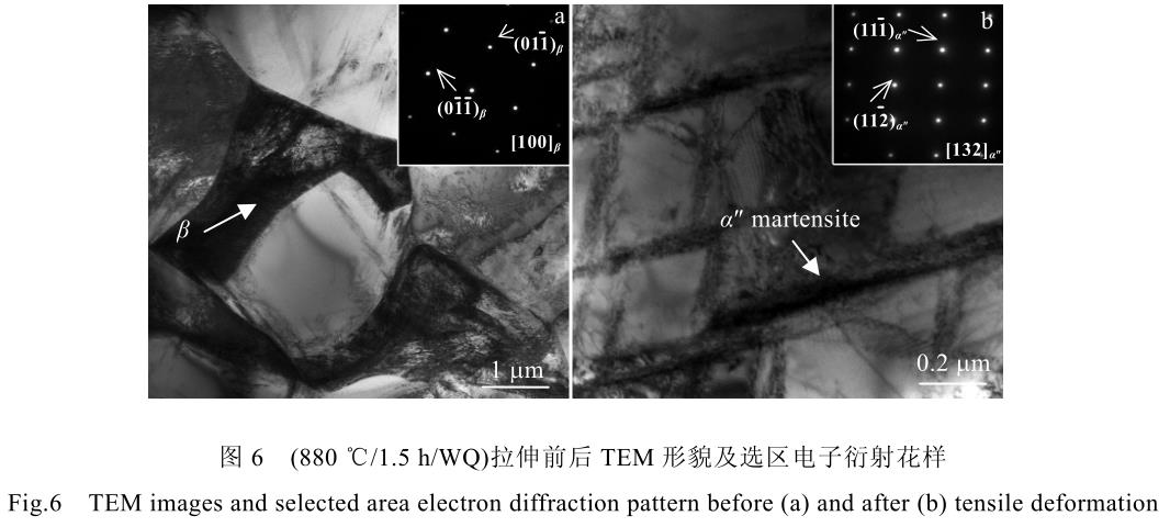 1726732868386726.jpg t6.jpg