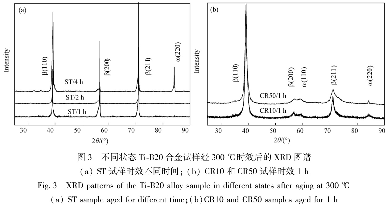 1728126477618667.jpg t3.jpg