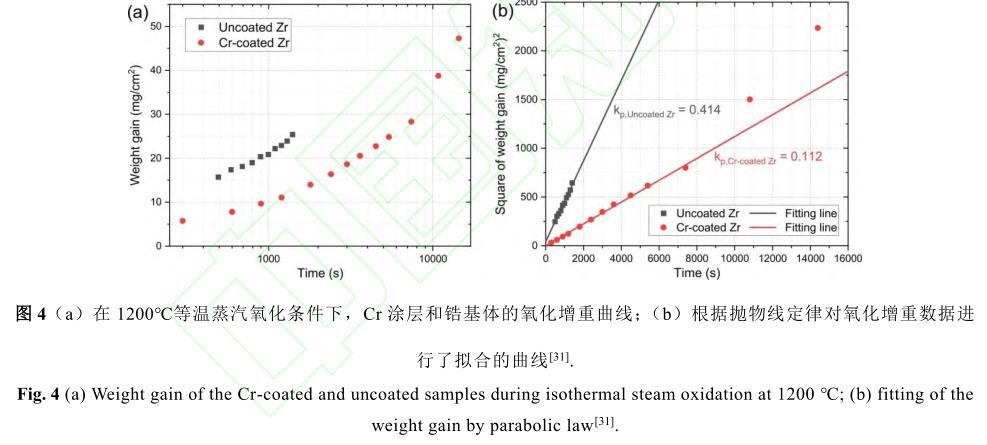 1729135200537296.jpg 4.jpg