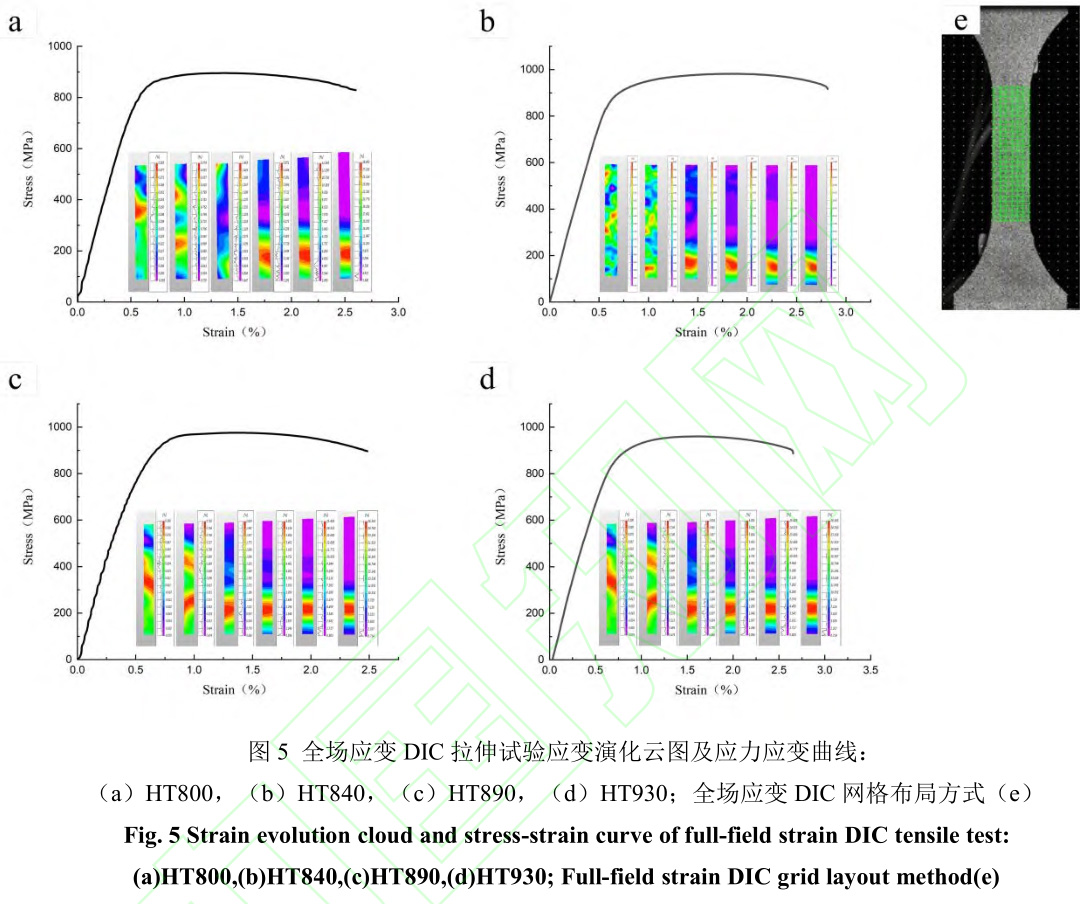 1729343043604028.jpg 5.jpg