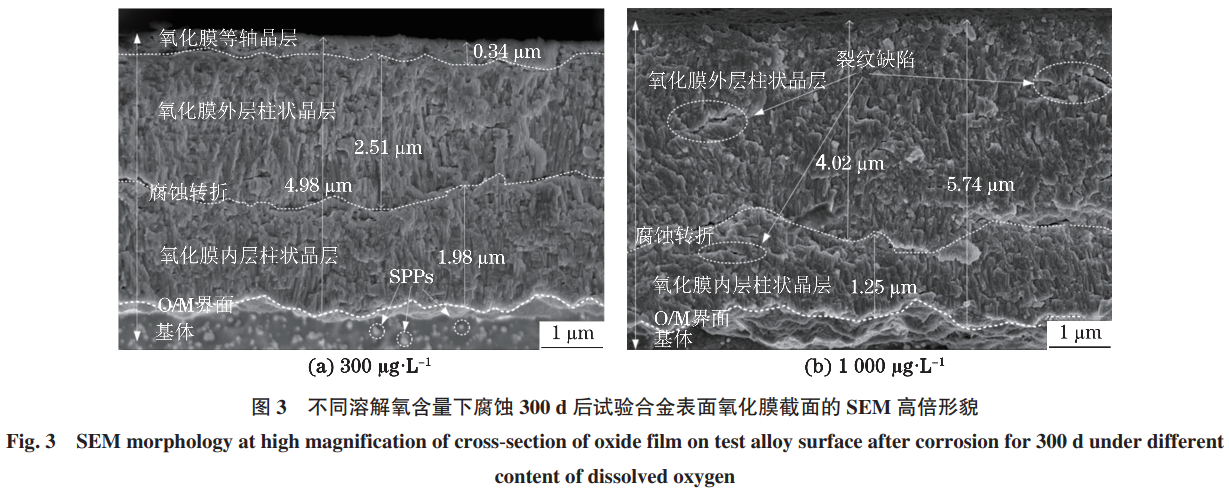 1733039433499394.png 3.png