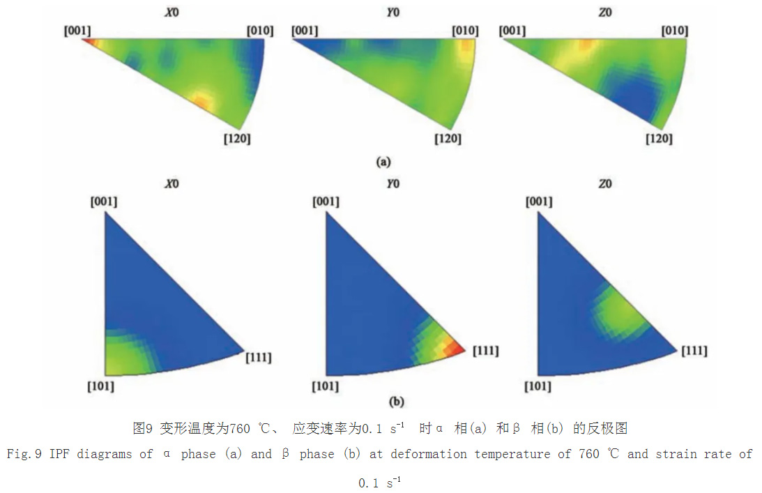 1733576718882941.jpg 9.jpg