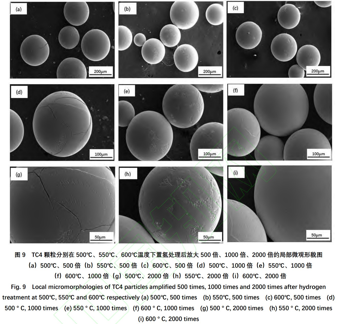 1734250682997439.jpg 9.jpg