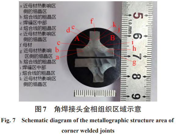 1736049391132444.png 7.png