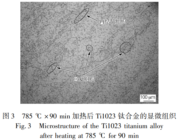 1737429026961781.png 截圖20250121110750.png