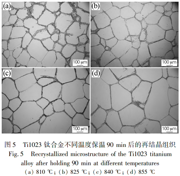 1737429043647142.png 截圖20250121110816.png