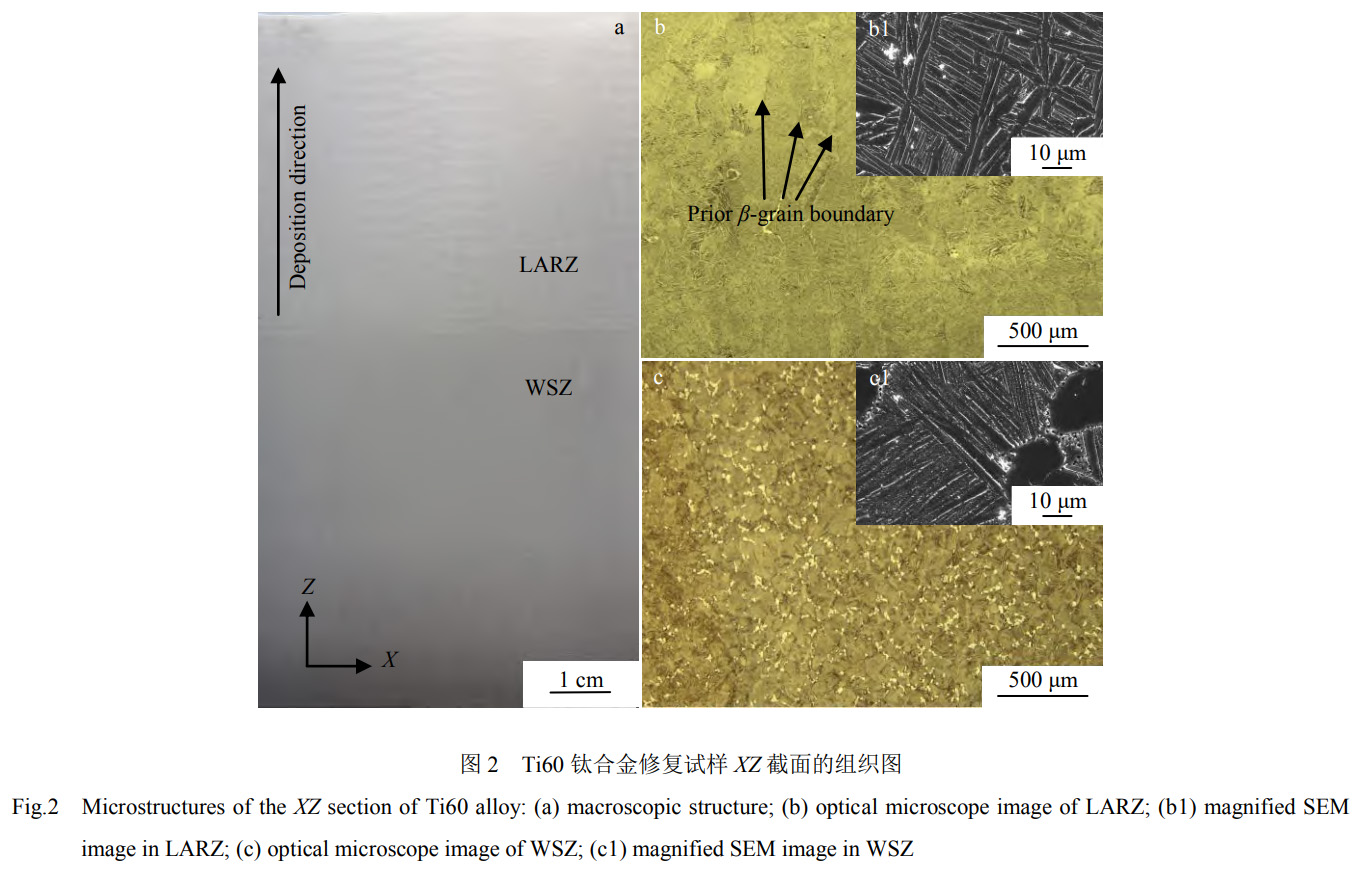 1739628315438863.jpg 2.jpg