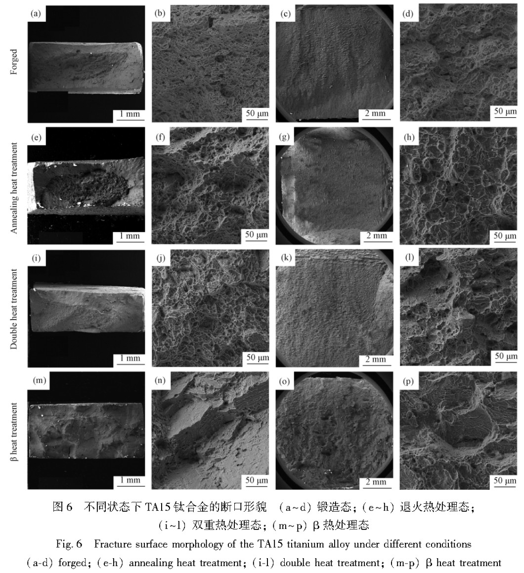 1743392218229682.jpg 6.jpg