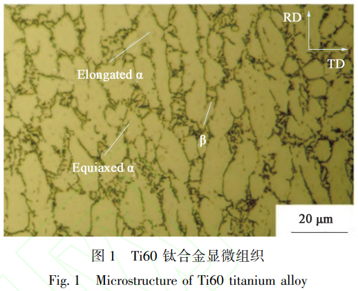 1746455683159217.png 截圖20250505220051.png