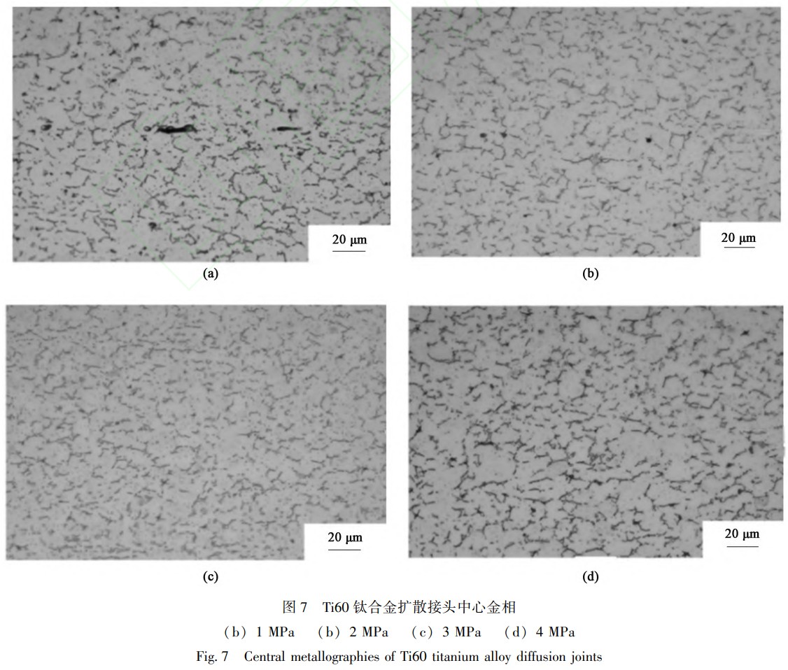 1746455773107166.jpg 7.jpg