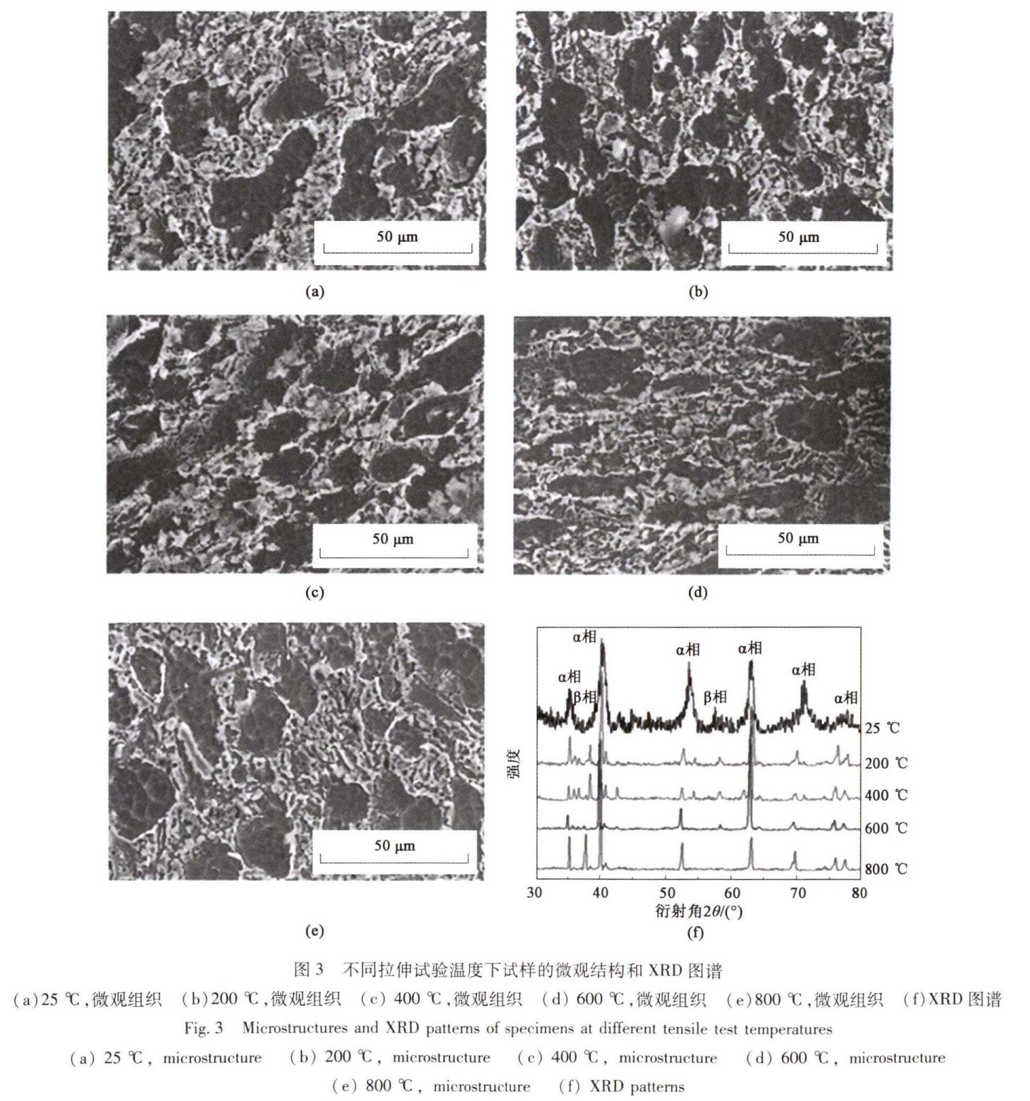 1747212742110694.jpg 3.jpg