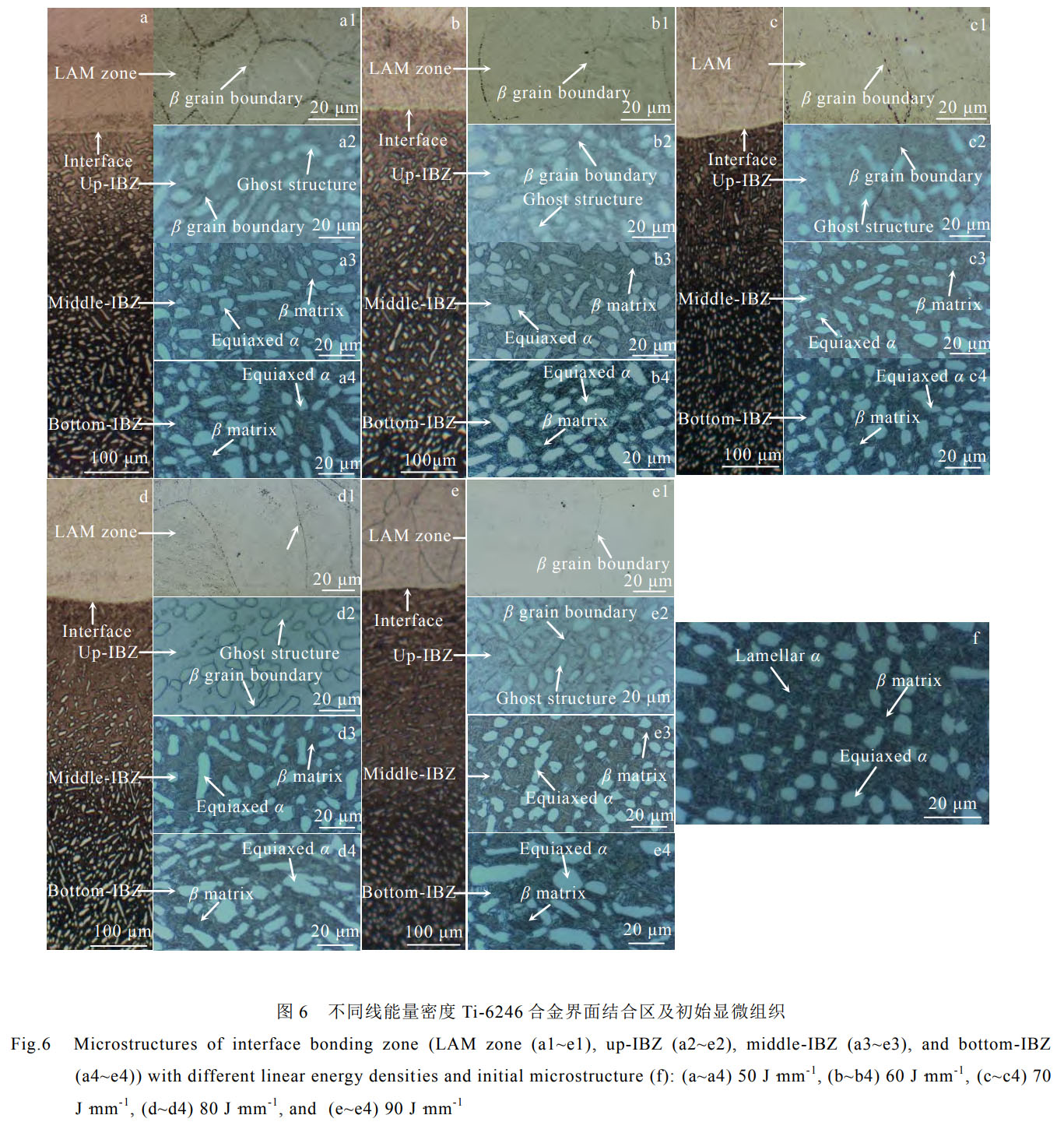 1759115755383761.jpg 未標題-1.jpg