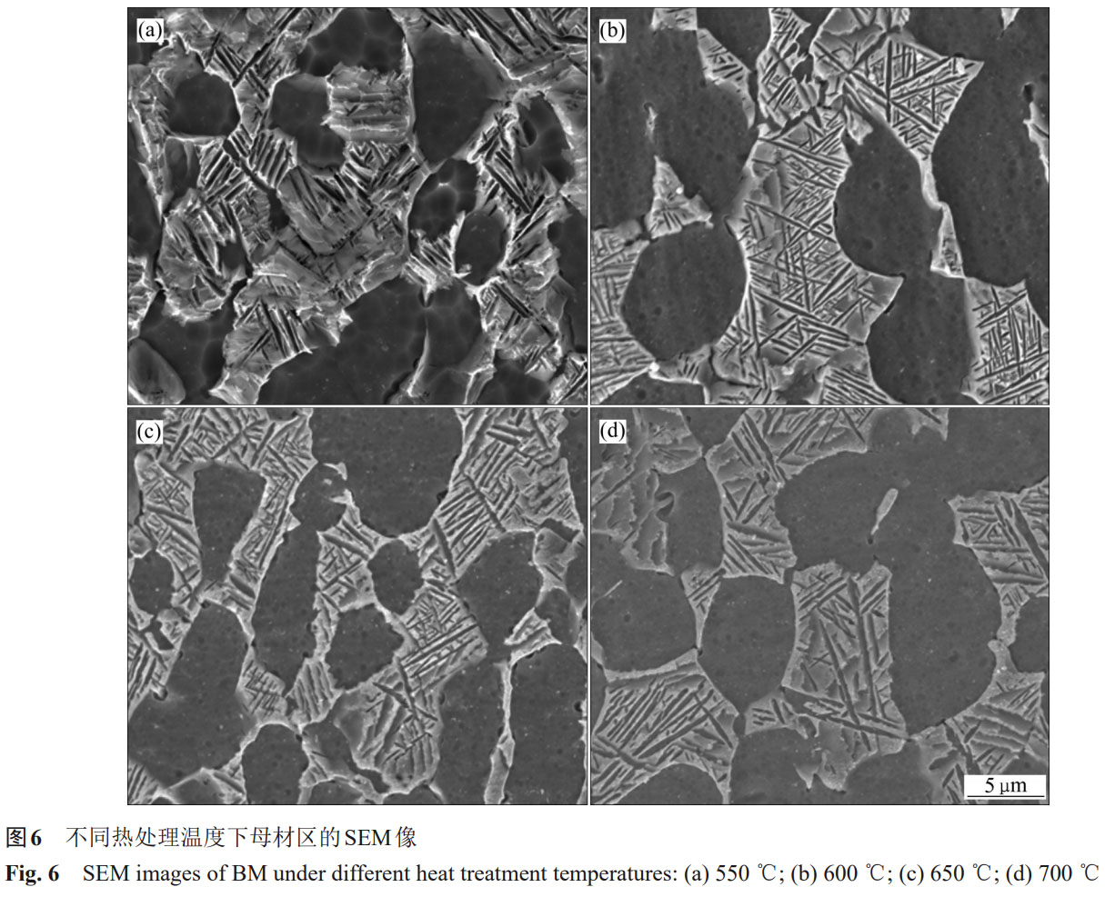 1759828706995555.jpg 未標題-2.jpg